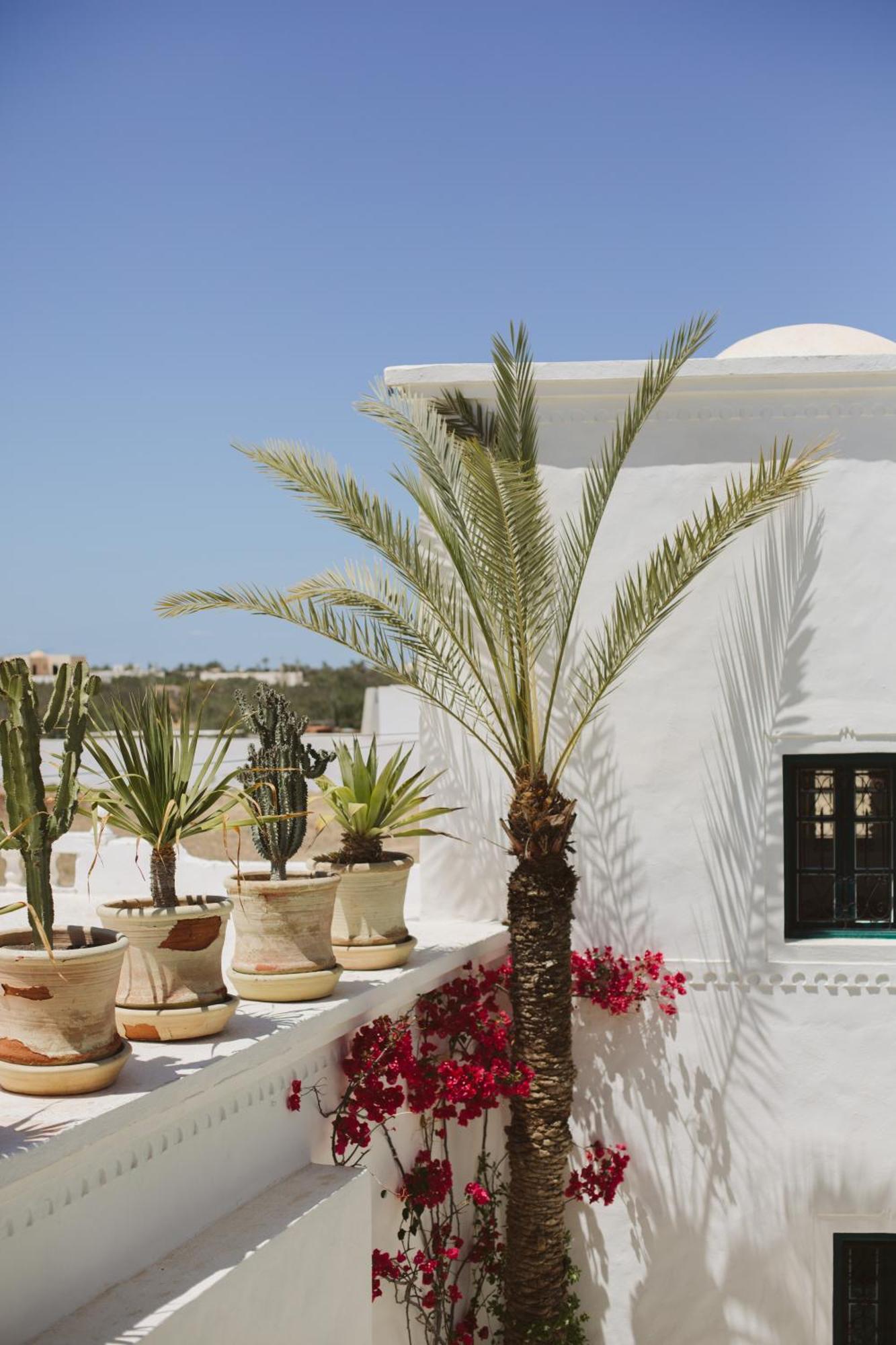 Dar Nael Houmt Souk (Djerba) Exterior foto